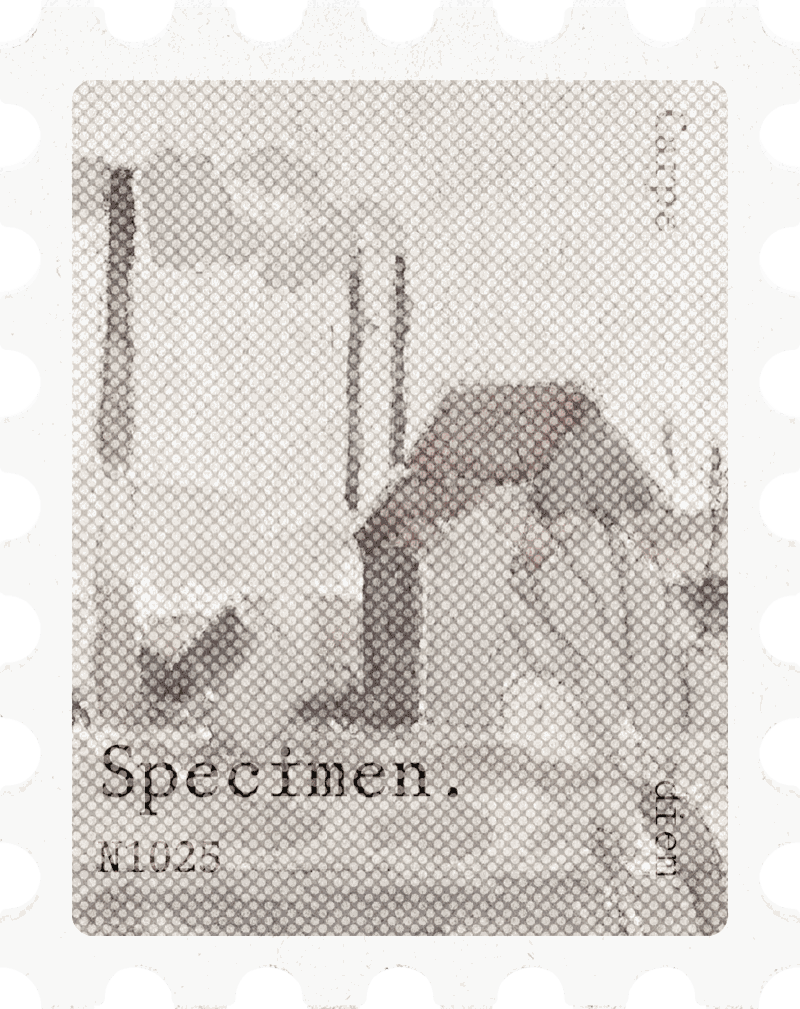 Specimen postage stamp