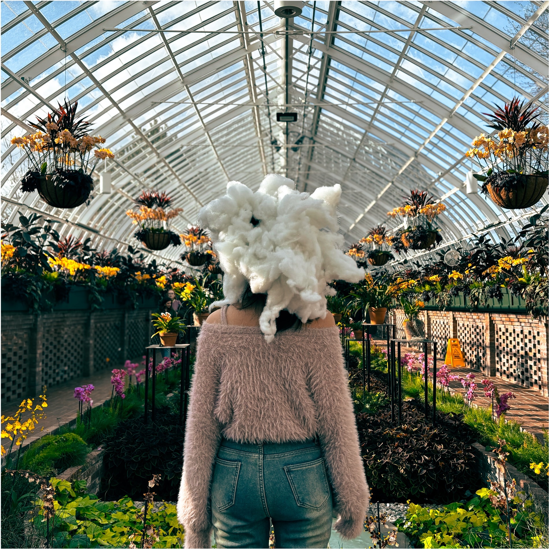 A figure seen from behind in a glasshouse of orchids, head wrapped in a cloud of cotton