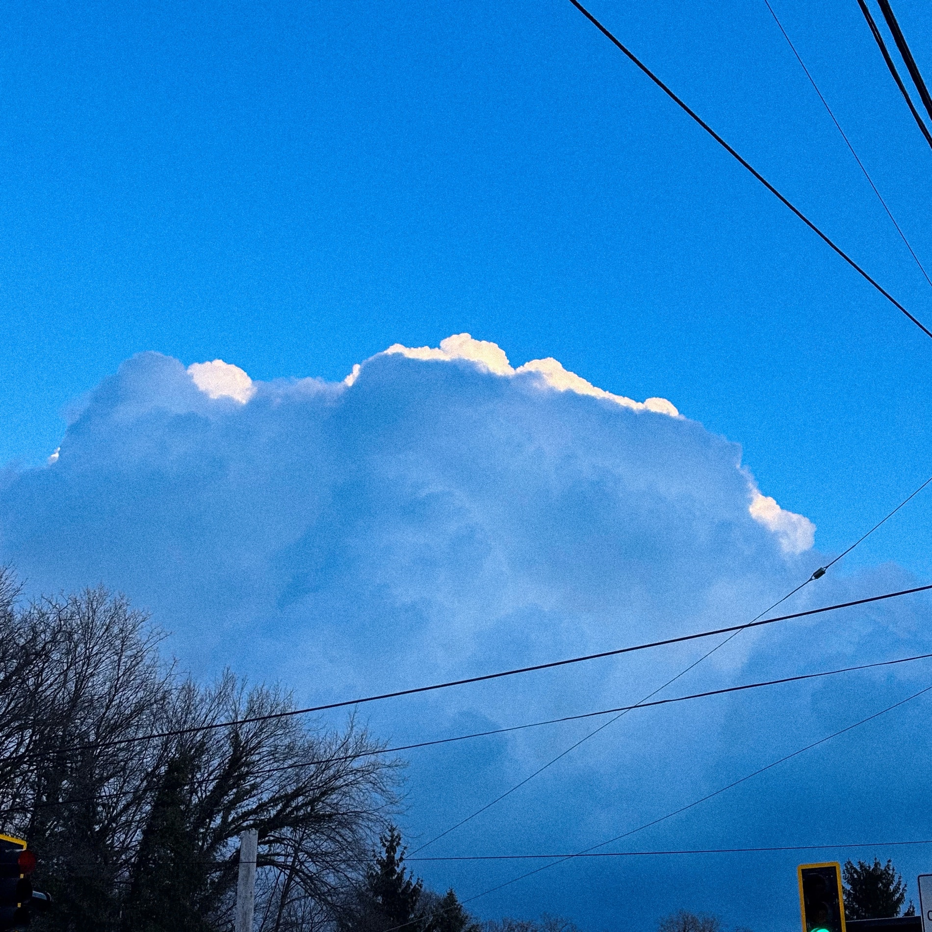 A cumulus tower lit along its crown, crossed by power lines