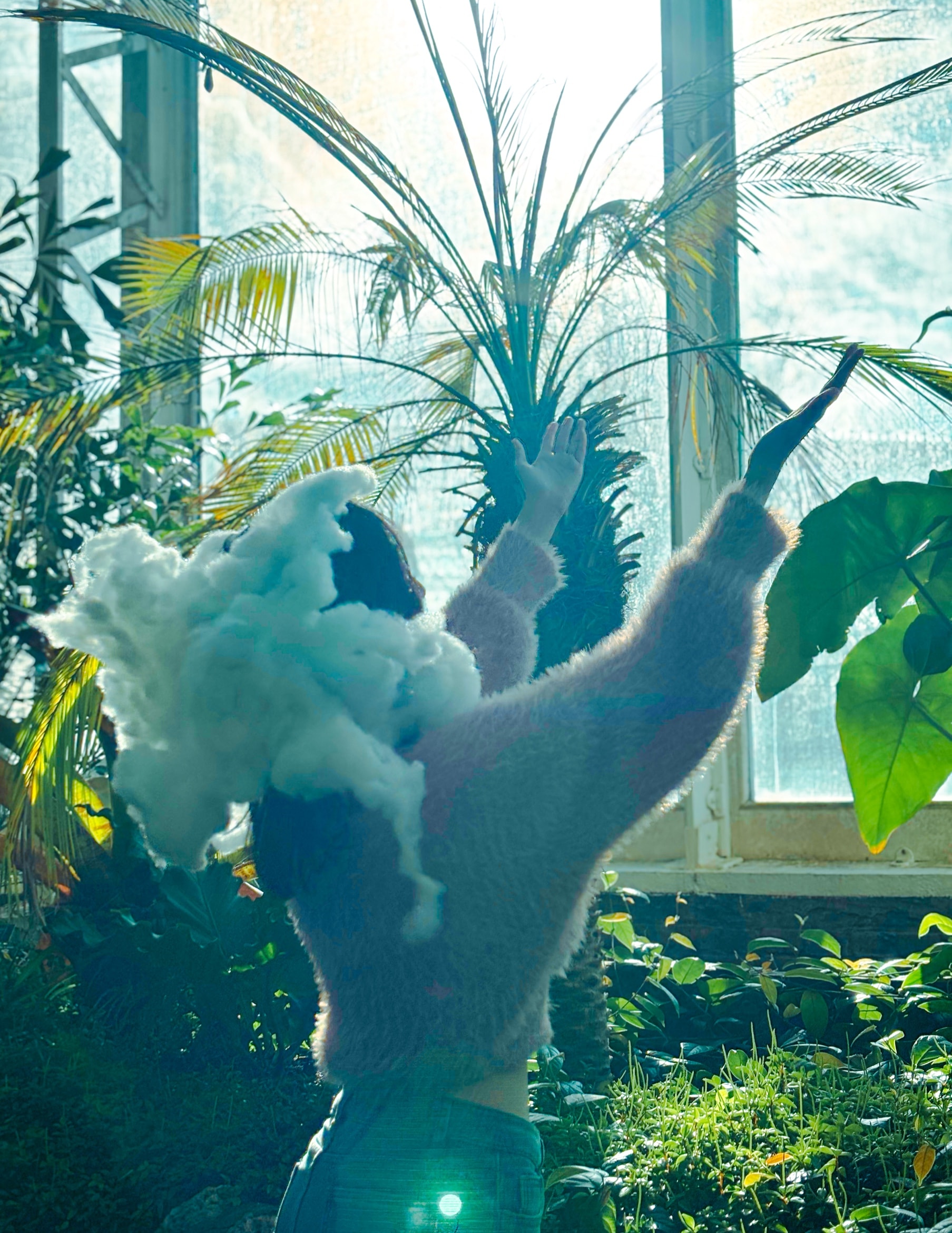 A cloud-headed figure reaching upward in a backlit palm house